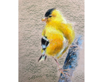American Bird Painting American Goldfinch Oil Pastel Yellow Bird Drawing Original Art Gift 8''x10'' by StudioMuura