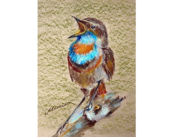 Bird Painting Animal Original Art Bluethroat Oil Pastel Drawing Gift 8''x10'' by StudioMuura