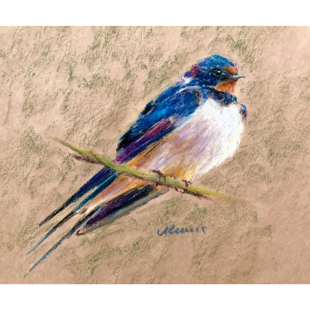 Barn Swallow Painting ORIGINAL Bird Art Oil Pastel Drawing Wall Decor ...