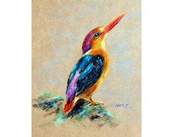 Bird Painting ORIGINAL Kingfisher Art Goldcrest Oil Pastel Drawing 8x10'' by Muura