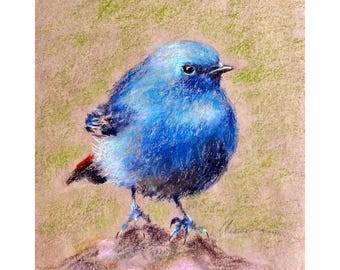 Blue Bird Oil Pastel Drawing, Original Bird Art, Blue Bird Artwork, Small Wildlife Art, Nature Wall Decor, Bird Lover Gift 8x8'' by Muura