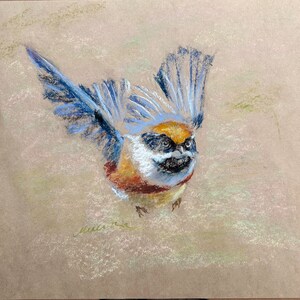 Flying Bird Painting Animal Original Art Black-throated Tit Oil Pastel Drawing Gift 8x10 by StudioMuura image 4
