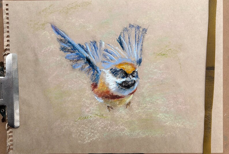 Flying Bird Painting Animal Original Art Black-throated Tit Oil Pastel Drawing Gift 8x10 by StudioMuura image 4