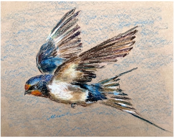 Swallow Painting Bird Original Art Barn Swallow Oil Pastel Draiwing Gift Artwotk 11''x14'' by StudioMuura