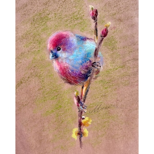 カラフルな鳥の絵画 オリジナル 面白い動物アート 小鳥 オイルパステル画 ギフト ウォールアート 8インチ x 10インチ ムウラ作