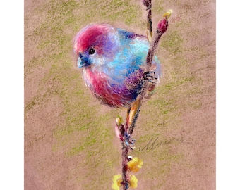 Colorful Bird Painting ORIGINAL Funny Animal Art Little Bird Oil Pastel Drawing Gift Wall Art 8'' x 10'' by Muura