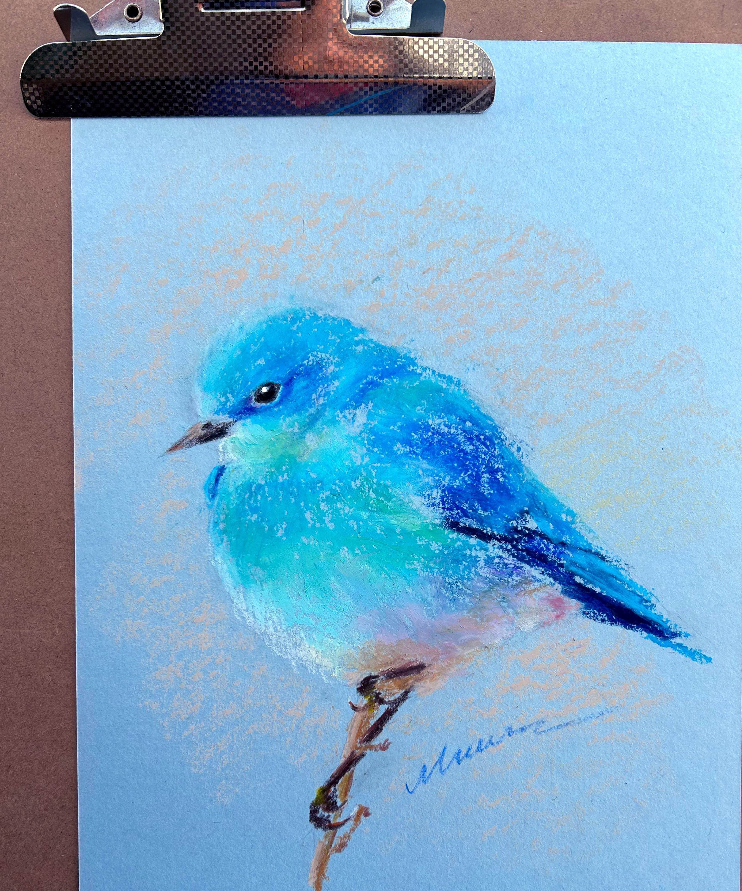 Bluebird Painting ORIGINAL Little Bird Art Animal Oil Pastel
