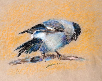 Bird Painting Animal Original Art Bullfinch Oil Pastel Drawing Wall Art Gift 8x10'' by Muura