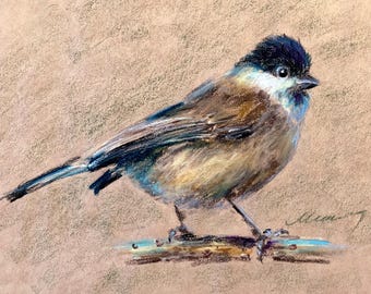 Bird Painting ORIGNAL Willow Tit Art Animal Oil Pastel Drawing 8x10 by Muura