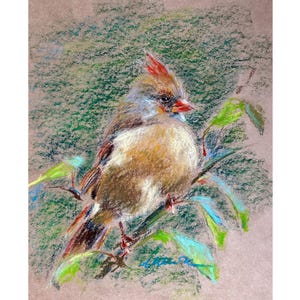 Kardinal Malerei ORIGINAL Kleiner Vogel Kunst Kardinal Kardinal Öl Pastell Zeichnung Tier Kunstwerk 8x10'' von Muura