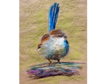 Bird Painting Animal Original Art Fairywren Oil Pastel Drawing Wall Art Gift 8''x10'' by Muura