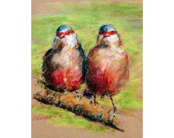 Bird Painting Animal Original Art Waxbill Oil Pastel Drawing gift 8x10 by StudioMuura