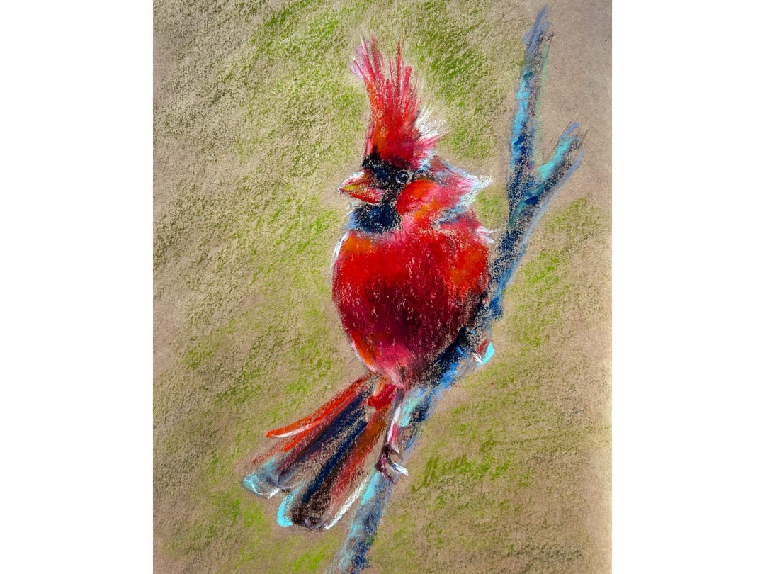 Red Cardinal Painting ORIGINAL Bird Art Northern Cardinal Oil Pastel ...