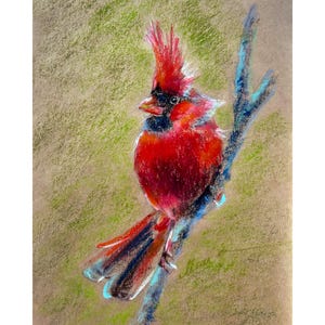 Roter Kardinal Malerei ORIGINAL Kleiner Vogel Kunst Nordkardinal Öl Pastell Zeichnung Tier Kunstwerk 8 '' x 10 '' von Muura