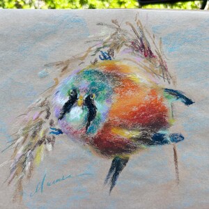 Könnte beinhalten: Eine farbenfrohe Pastellzeichnung eines Vogels auf einem Spiralblock. Der Vogel weist eine Mischung aus Orange, Grün, Blau und Schwarz auf. Das Kunstwerk ist unten links signiert. Der Hintergrund ist hellblau und beige.