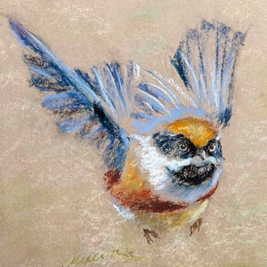 Flying Bird Painting Animal Original Art Black-throated Tit Oil Pastel Drawing Gift 8x10 by StudioMuura image 9