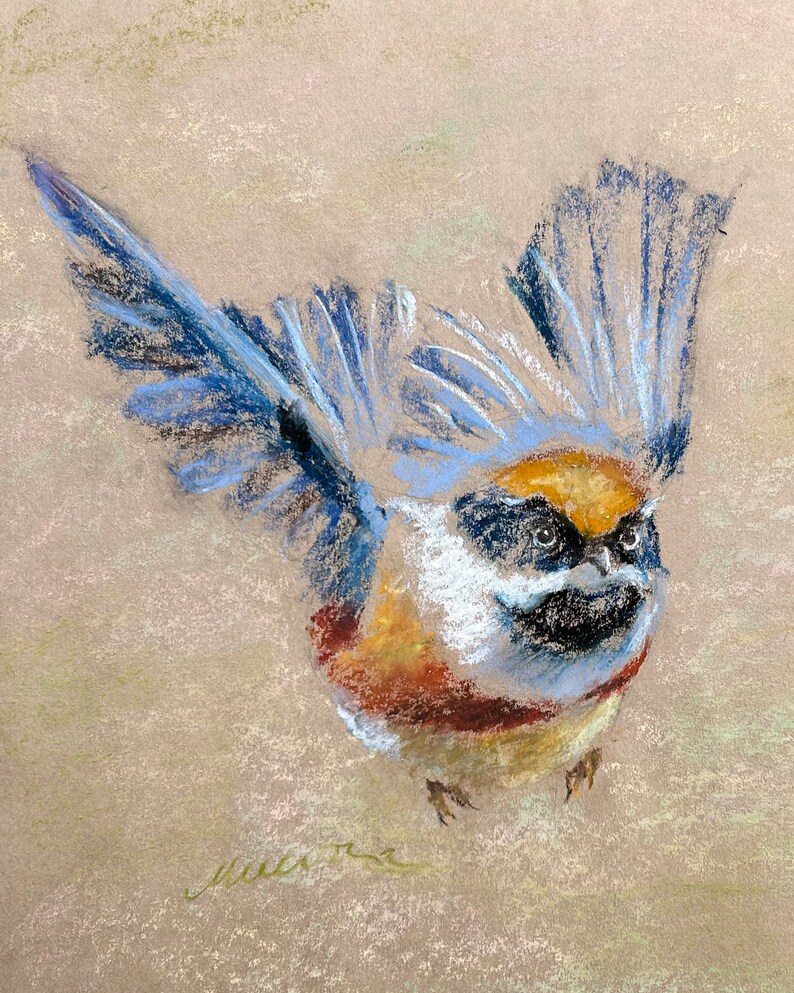 Flying Bird Painting Animal Original Art Black-throated Tit Oil Pastel Drawing Gift 8x10 by StudioMuura image 9