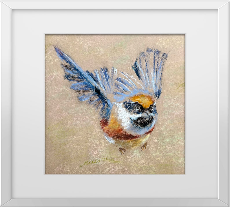 Flying Bird Painting Animal Original Art Black-throated Tit Oil Pastel Drawing Gift 8x10 by StudioMuura image 7