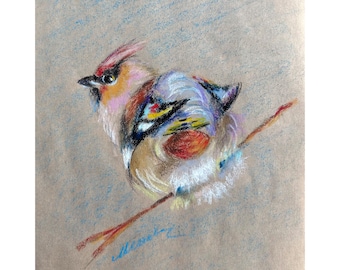 Bird Painting ORIGINAL Waxwing Art Oil Pastel Drawing Wall Decor 8x8" by Muura