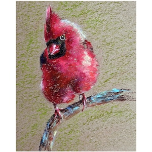 Red Cardinal Gemälde ORIGINAL amerikanischen Vogel Kunst Tier Öl Pastell Zeichnung Kunst Wand Kunst Geschenk 8 '' x 10 '' von Muura
