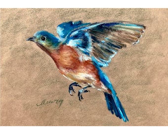 Bluebird Painting Animal Original Art Flying Bird Oil Pastel Drawing Gift 8''x10'' by Muura