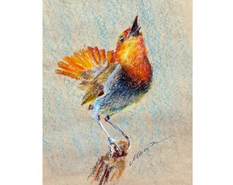 Bird Painting Robin Original Art Animal Oil Pastel Drawing gift 8''x10'' by StudioMuura