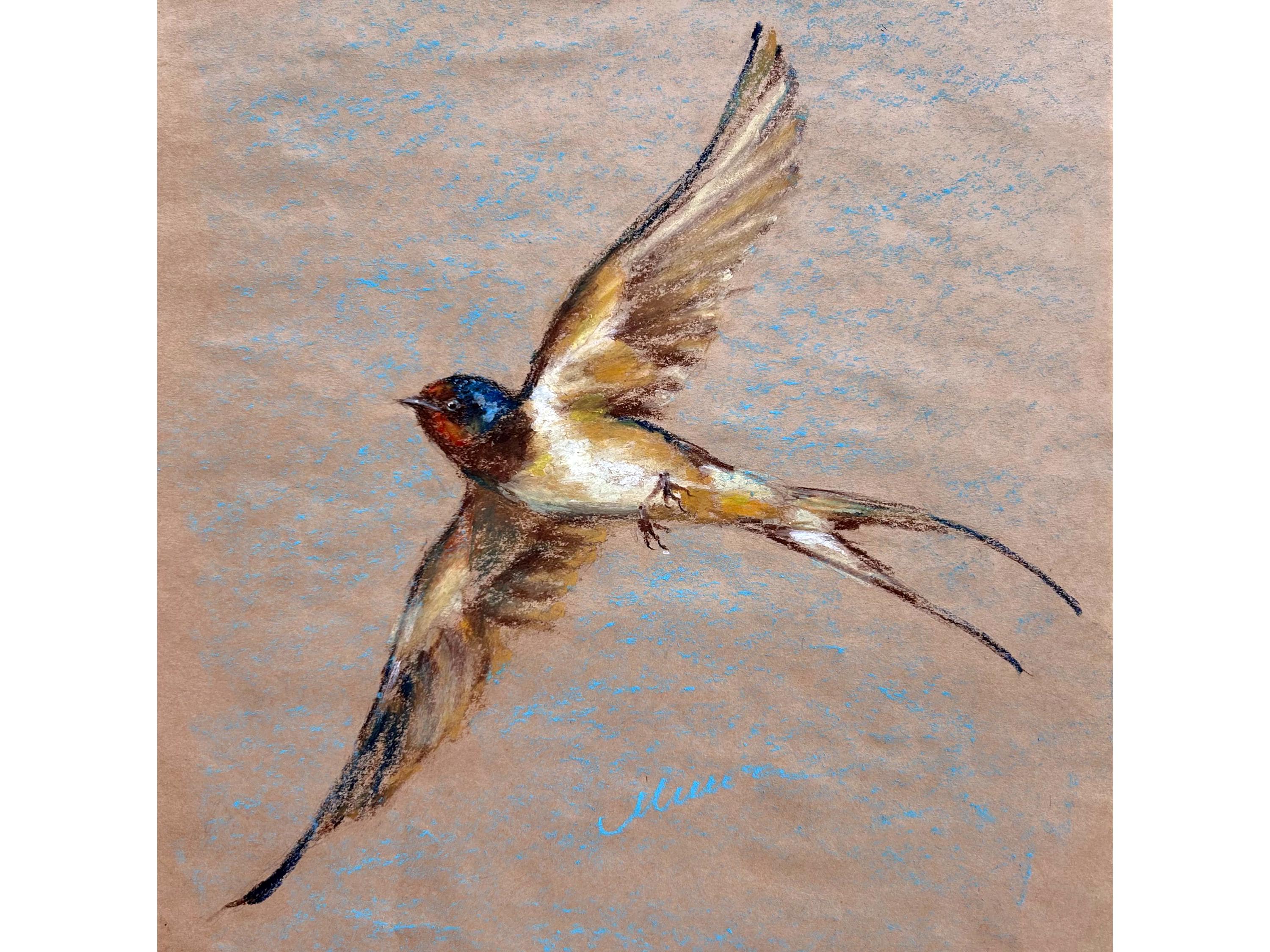 Swallow Painting ORIGINAL Bird Art Barn Swallow Oil Pastel Artwork 12x12'' by Muura