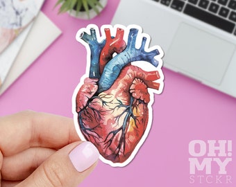 Anatomy Heart Sticker, Watercolor Heart Sticker, Macbook Sticker, IPad Sticker, Laptop Sticker