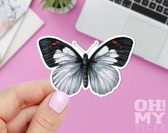 Butterfly Sticker: Water Resistant Vinyl Decal