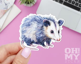 Cute Opossum Sticker: Funny Animal Decal