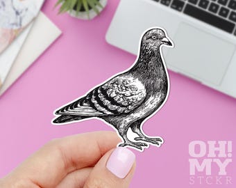 Pigeon Sticker: Waterproof Vinyl Decal