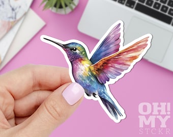 Colorful Hummingbird Sticker: Water Resistant Vinyl Decal