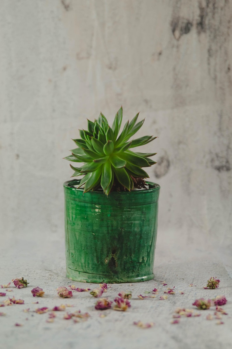 Moroccan vintage tamegroute planter pot handmade glazed pottery pot ceramic indoor plant indoor planters tamegroute pottery