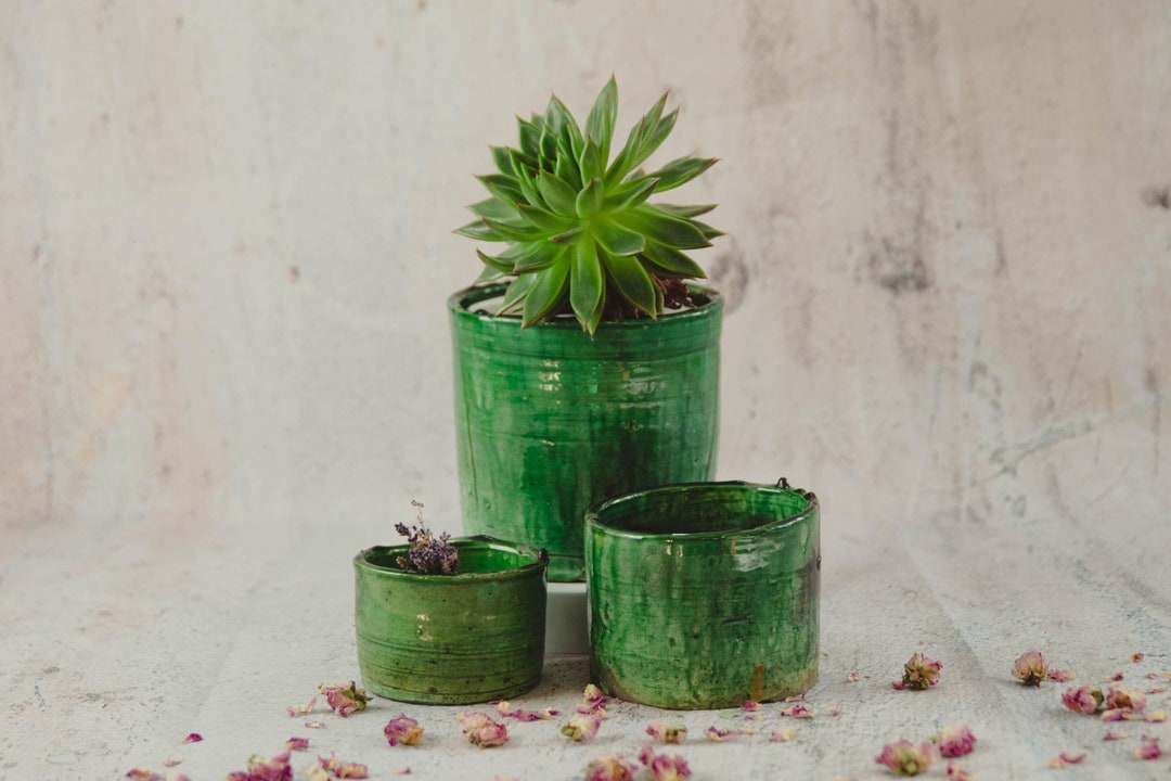 VASO DI FIORI Decorativo Succulento Fioriera in Ceramica Bianca Interno