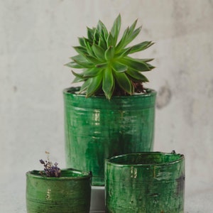 May include: Three green ceramic pots with a succulent plant in the largest pot. The pots are all different sizes and have a rustic, handmade look. The pots are sitting on a white surface with dried pink flower petals scattered around them.