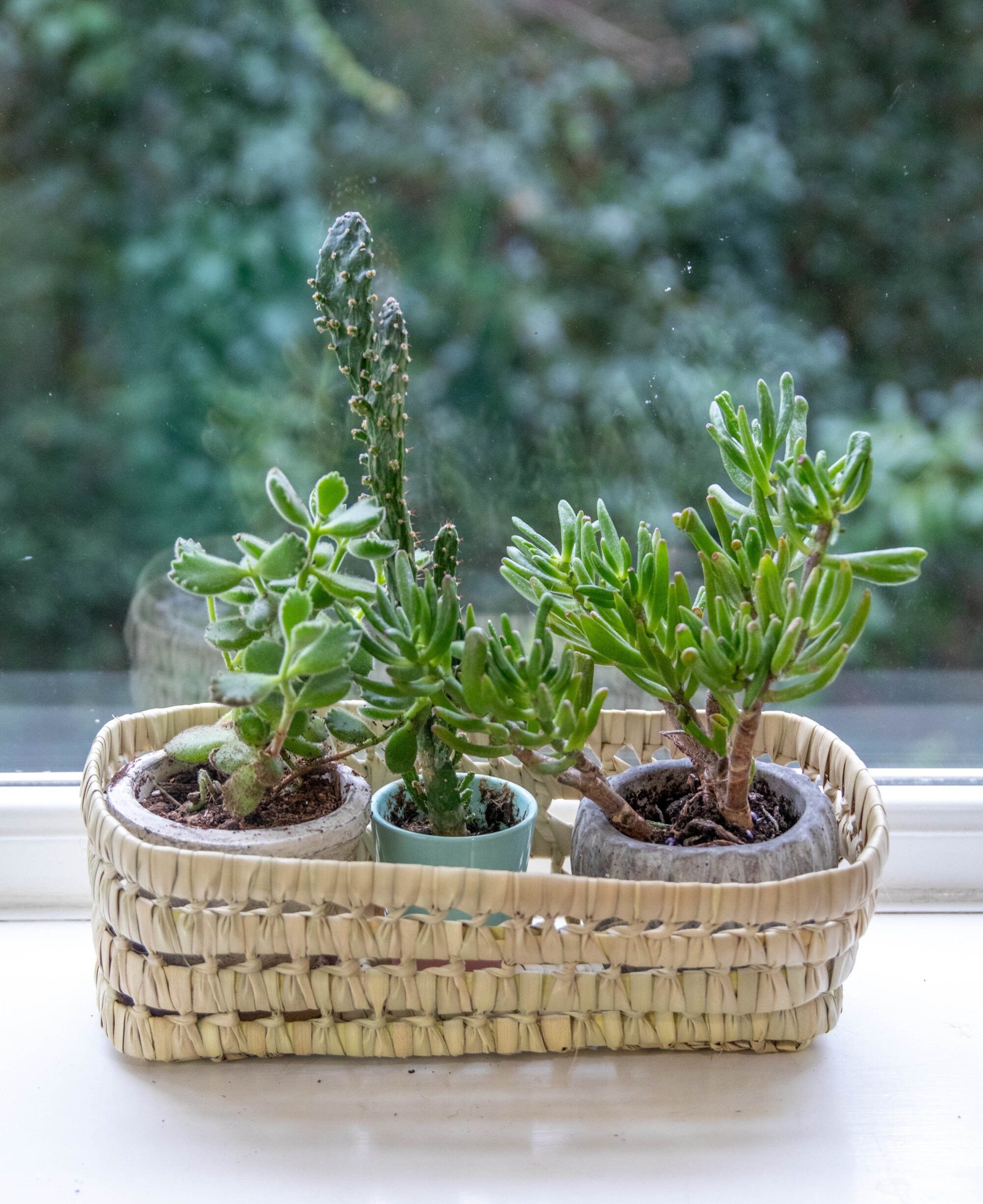 Small Rattan Basket Woven Rattan Baskets Wicker Rattan Basket - Etsy