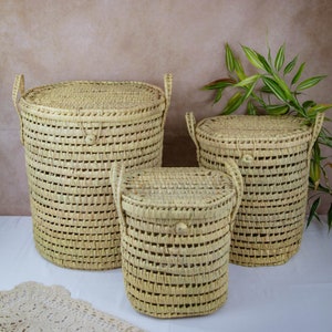 Cesto portabiancheria, Cesto in rattan intrecciato, Cesto portaoggetti per giocattoli, Organizzatore da soggiorno, Cesto con manici, Cesto portabiancheria da bagno, Vimini