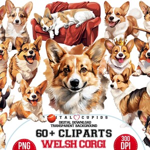 Conjunto de imágenes prediseñadas PNG de Welsh Corgi, diseños de cachorros de Corgi de alta resolución, gráficos para calcomanías, camisetas, decoración de fiestas, regalos para amantes de las mascotas