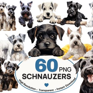 Op de afbeelding: Een verzameling illustraties van Schnauzer-honden in verschillende houdingen en kleuren, waaronder zwarte, zilveren en witte vachten. De afbeelding bevat de tekst 60 PNG SCHNAUZERS, High Resolution, Transparent en Instant Download in een blauwe ovaal.