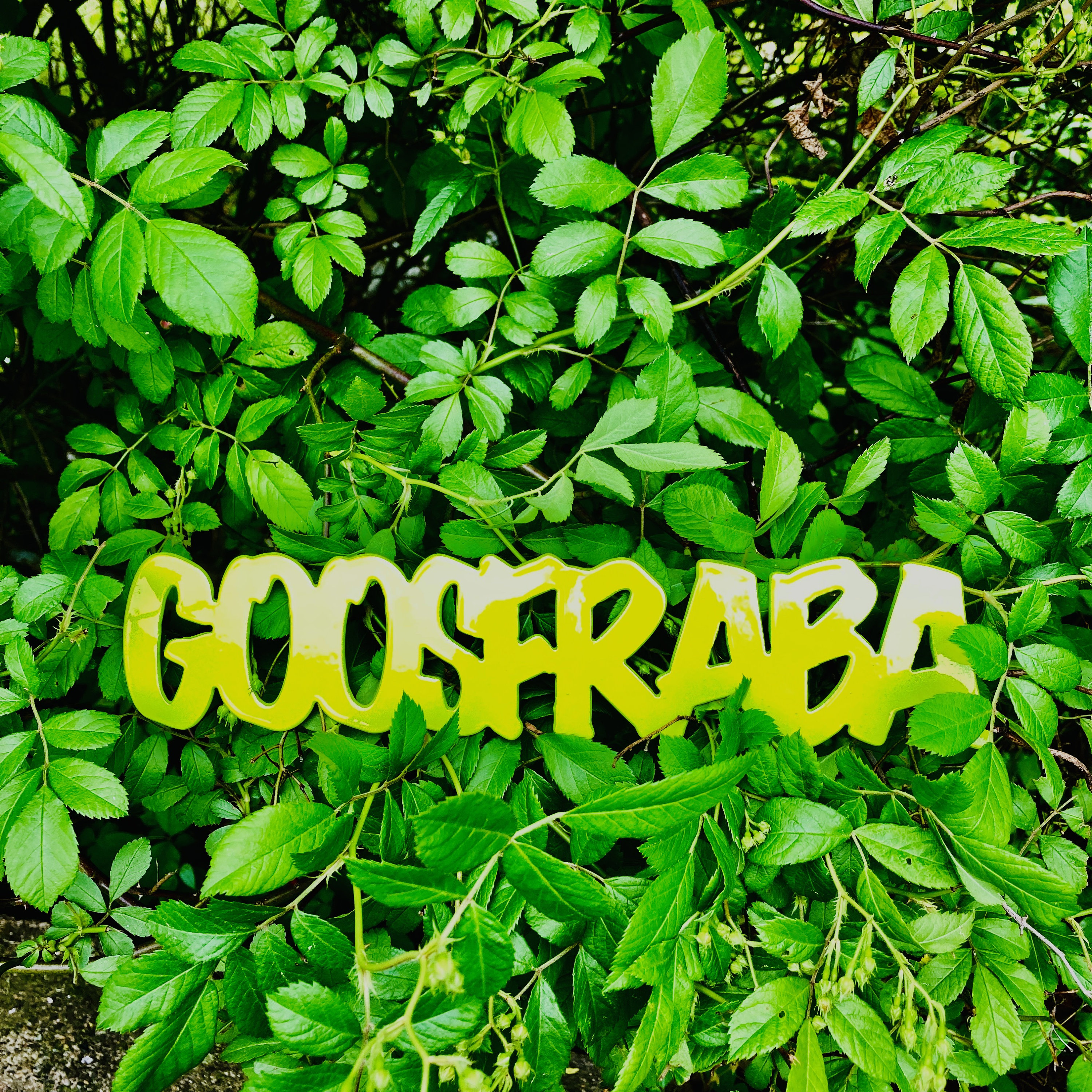 Good Fraba GOOSFRABA Wall Sign for Therapists, Teenagers, Teachers, and Help With ...
