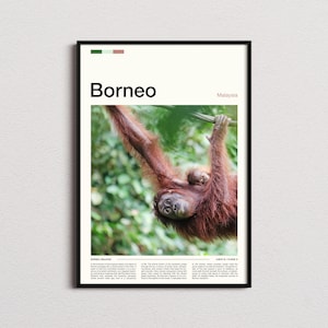 Borneo Print, Borneo Poster, Borneo Wall Art, Borneo Art Print, Borneo Photo, Borneo Gifts