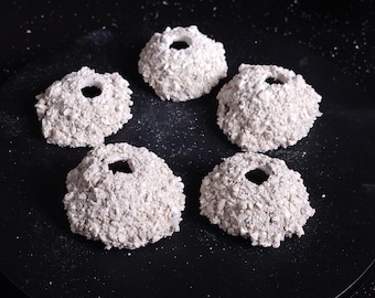 ReefBlend Dome 2" Drilled | Sand & Crushed Coral Frag Mount | Aquascaping Coral Plug Holder | Single or 5-Pack | Patent Pending Technology