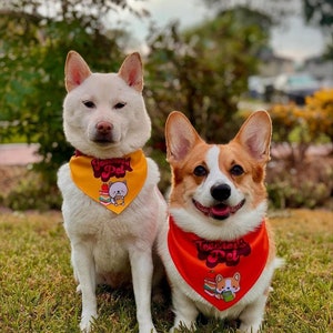 Custom Personalized Pet Bandana | Over the Collar Bandana | Personalized Dog Bandana | Custom Bandana | Custom Theme Birthday Bandana