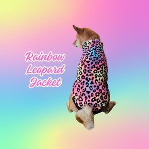 May include: A dog wearing a rainbow leopard print jacket. The jacket has a black base with rainbow colored leopard spots. The dog is facing away from the camera.