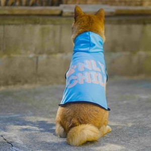 Alleen kind hond hoodie Trui voor honden Sweater voor honden Pootafdruk hoodie voor honden Grappige hond hoodie Meme hoodie voor honden Kleding voor honden