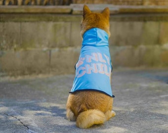 Only Child Dog Hoodie Sweater for Dogs Sweatshirt for Dogs Pawprint Hoodie for Dogs Funny Dog Hoodie Meme Hoodie for Dogs Clothes for Dogs
