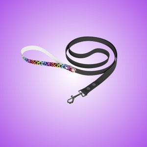 Correa de perro retro de los años 90 / Correa de leopardo arco iris / Correa de perro colorida / Correa de perro de los años 80 / Correa de perro con estampado de leopardo / Correa y collar a juego