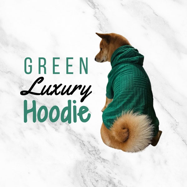 Sweat à capuche de luxe pour chien | Chemise pour chien de créateur | chaud pour chien | Mode chien de créateur | Vêtements chauds pour chien | Vêtements de luxe pour chiens | Manteau mignon pour chien