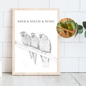 Custom Bird Portrait Using Pet Photo Personalized Digital Pet Bird Portrait Sketch Pony Custom Parrot Portrait Custom Bird Drawing Gift