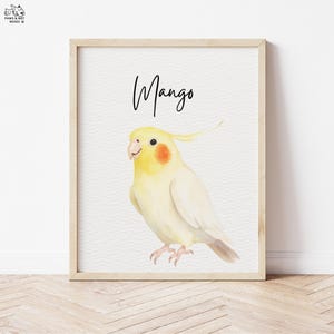 May include: A framed watercolor print featuring a yellow cockatiel with an orange cheek patch. The bird is positioned on a white background, with the name "Mango" written above it in black script. The frame is a light wood color.
